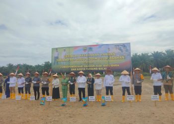 Asahan Genjot Kedaulatan Pangan, Kodim 0208 Mulai Tanam Padi Gogo di Lahan Eks Sawit