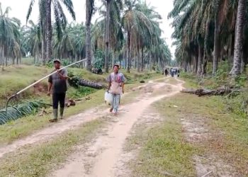 Heboh Tuduhan PT BSP Kerahkan Massa, Mahasiswa Asahan Buka Fakta Baru soal Sengketa Lahan HGU