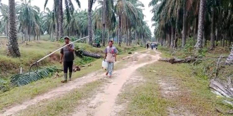 Heboh Tuduhan PT BSP Kerahkan Massa, Mahasiswa Asahan Buka Fakta Baru soal Sengketa Lahan HGU