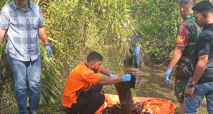 Kerangka Manusia Ditemukan di Dalam Parit Kebun Kelapa Warga di Batu Bara